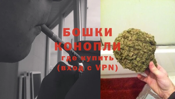 трава Армянск