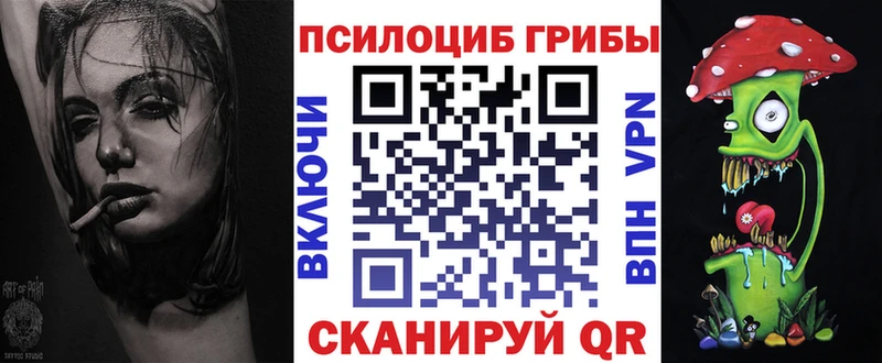 купить  сайты  Ессентуки  Галлюциногенные грибы Psilocybine cubensis 