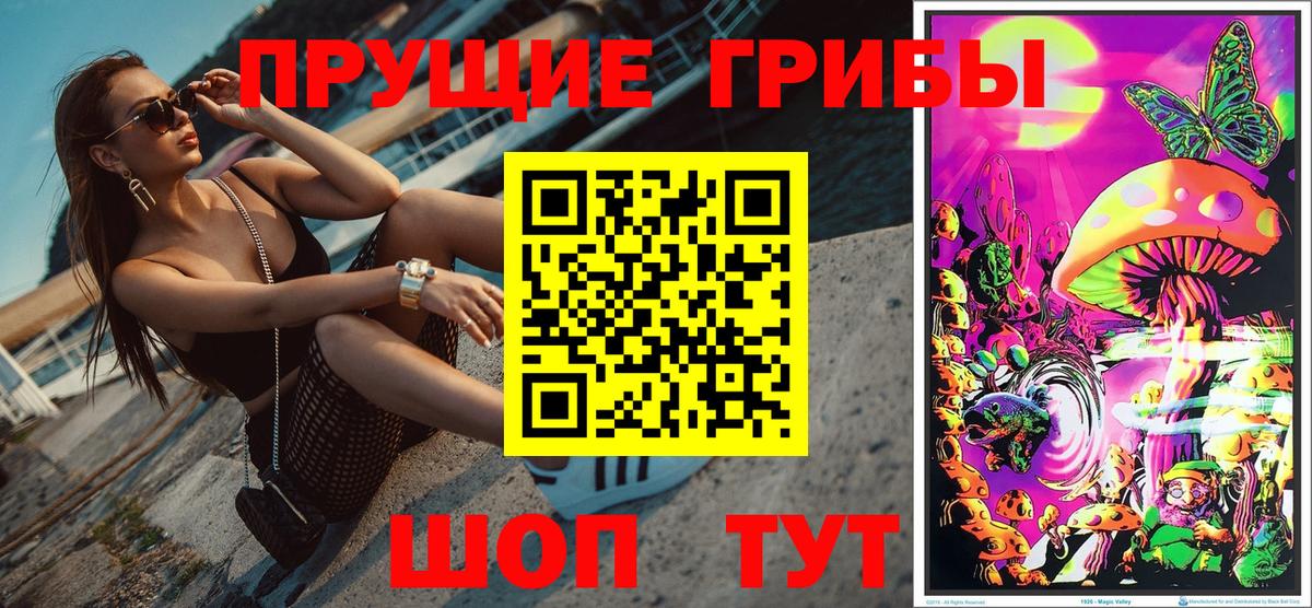 Ессентуки  Галлюциногенные грибы Cubensis  Псилоцибиновые грибы прущие грибы  Вход с VPN 