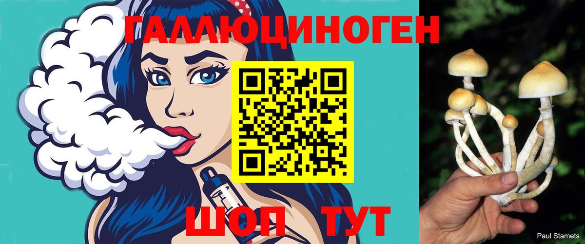 Галлюциногенные грибы ЛСД Ессентуки